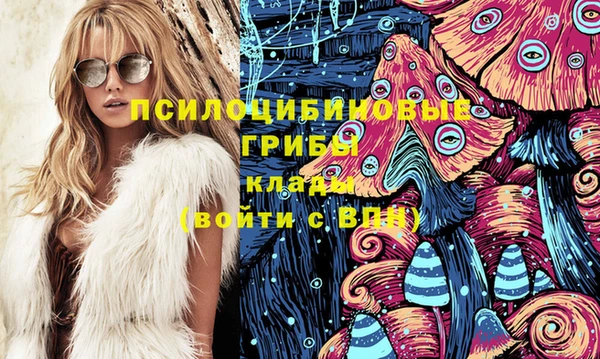 ПСИЛОЦИБИНОВЫЕ ГРИБЫ Армянск