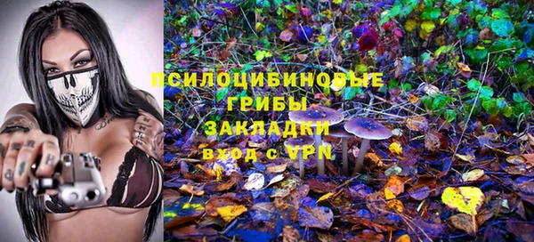 ПСИЛОЦИБИНОВЫЕ ГРИБЫ Армянск