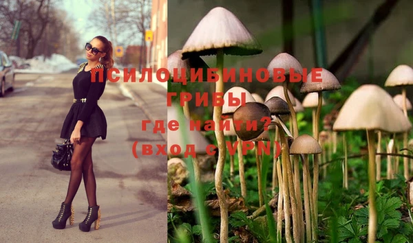ПСИЛОЦИБИНОВЫЕ ГРИБЫ Армянск