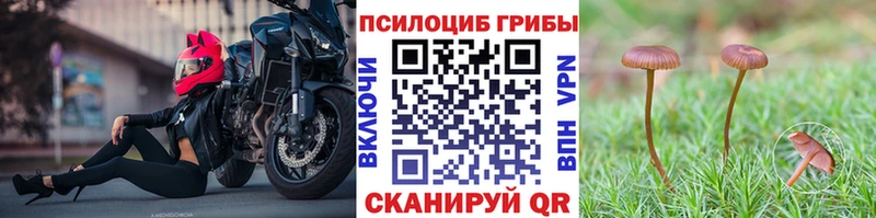 hydra ONION  Ленск  Галлюциногенные грибы прущие грибы  как найти  
